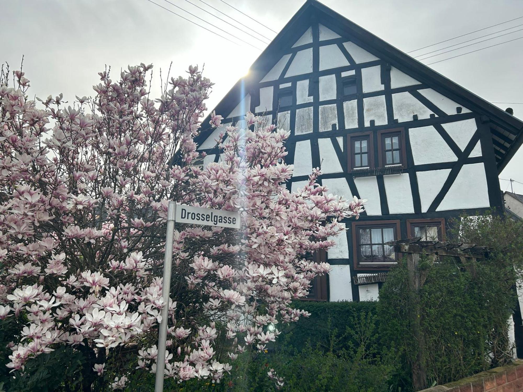 Das Pautzen Haus Daun Εξωτερικό φωτογραφία